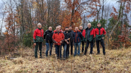 De nouveaux arbres pour la forêt publique de Sallanches De nouveaux arbres pour la forêt publique de Sallanches