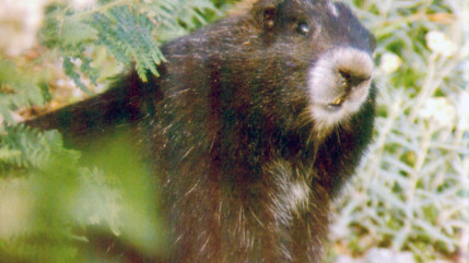 Deux opérations samedi dans les 2 Savoie Deux opérations samedi dans les 2 Savoie