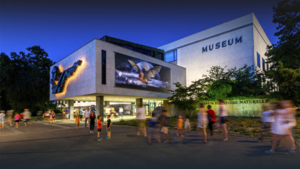 Genève : La réouverture du Museum d'histoire naturelle décalée à 2036 Genève : La réouverture du Museum d'histoire naturelle décalée à 2036