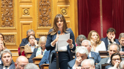 Haute-Savoie: les parlementaires mobilisés dans la lutte contre les violences à l'encontre des pompiers