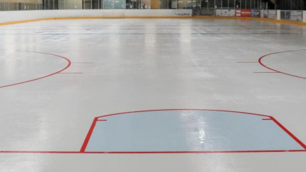 Hockey : bon démarrage pour Genève, Chamonix en mission maintien