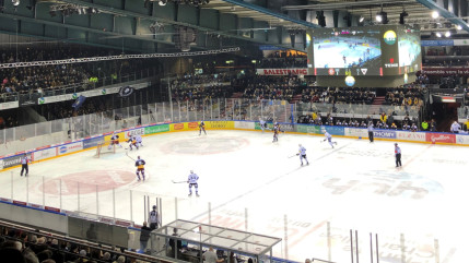 Hockey : jour de derby à Genève ! Hockey : jour de derby à Genève !