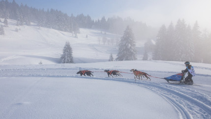 La 20ème édition de la Grande odyssée dévoilée