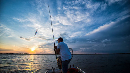 La pêche se porte bien dans le lac Léman