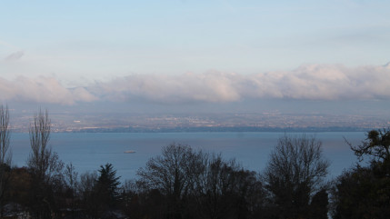 Lac léman : les feras pourraient-elles disparaître ?