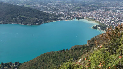 Le crush en ligne, une spécialité d'Annecy ? Le crush en ligne, une spécialité d'Annecy ?