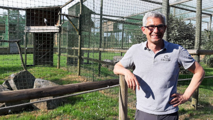 Le parc des Aigles du Léman à Sciez a réouvert ses portes depuis quelques jours (interview)