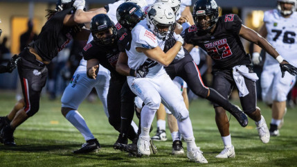 Les Black Panthers qualifiés pour les 1/4 de finale du championnat de France (interview)