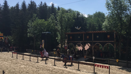 Les cottes de maille sont de retour en Haute-Savoie !