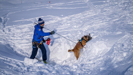 Mont-Blanc du Tacul : un alpiniste de 41 ans meurt apr&egrave;s une chute dans une crevasse