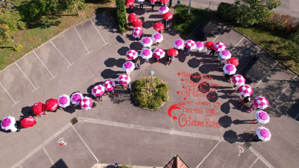 Octobre rose vu du ciel avec les résidents d'un EHPAD de Thonon (interview) Octobre rose vu du ciel avec les résidents d'un EHPAD de Thonon (interview)