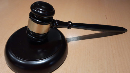 Près de Genève : Une fillette mordue par un chien, la nounou condamnée