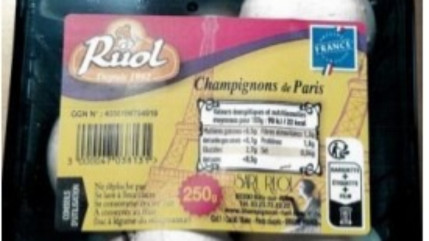 Savoie, Haute-Savoie et Ain : des champignons rappelés