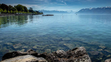 Un grand nettoyage du lac Léman est organisé ce week-end