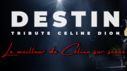 Un hommage à Celine Dion, le 17 mai à Chens-sur-Léman