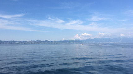 Une nouvelle noyade mortelle dans le lac Léman