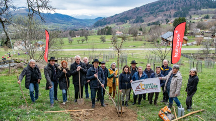 Vallée Verte : un poirier « Blesson » pour les rissoles désormais célèbres de « Chez l’Irmande » Vallée Verte : un poirier « Blesson » pour les rissoles désormais célèbres de « Chez l’Irmande »