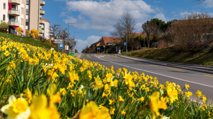 Vaud : Bussigny alerte sur de faux d&eacute;marcheurs &eacute;nerg&eacute;tiques