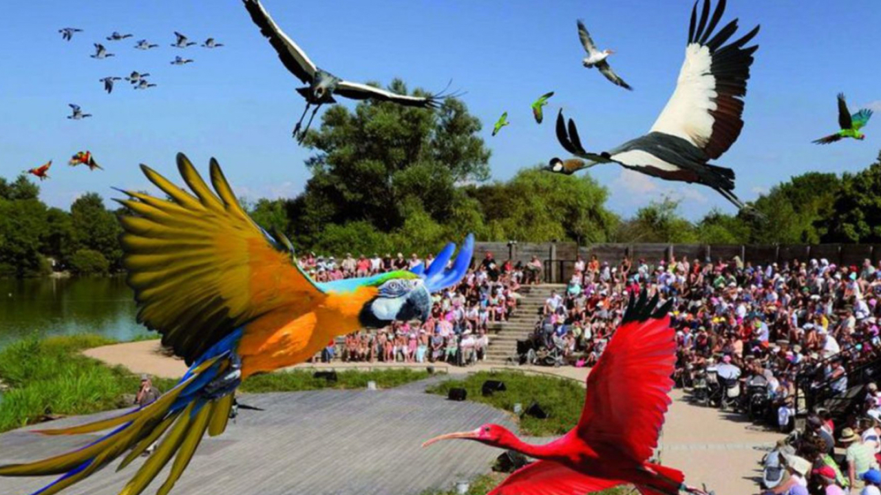 Évadez-vous en Auvergne-Rhône-Alpes au Parc des Oiseaux !